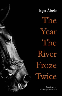 Book cover for The Year the River Froze Twice