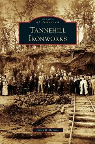 Cover of Tannehill Ironworks