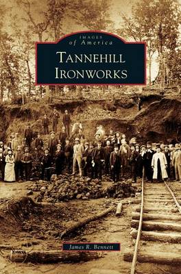 Book cover for Tannehill Ironworks