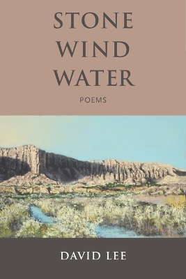 Book cover for Stone Wind Water