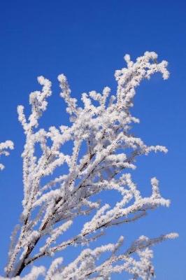 Book cover for Winter Frost on a Cherry Tree Journal