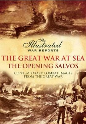 Book cover for Illustrated War Reports: Great War at Sea 1914-1915