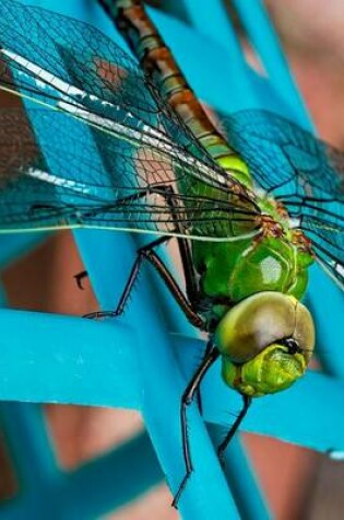 Cover of Closeup of a Green Dragonfly, Beautiful Nature