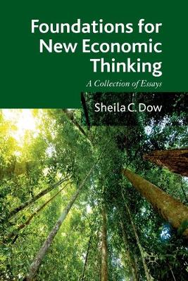 Book cover for Foundations for New Economic Thinking