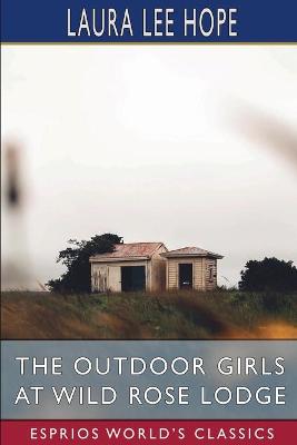 Book cover for The Outdoor Girls at Wild Rose Lodge (Esprios Classics)