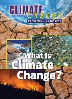 Book cover for What is Climate Change