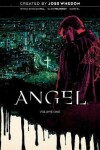 Book cover for Angel Vol. 1