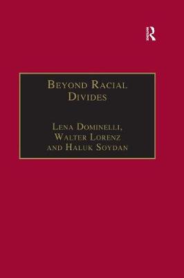 Cover of Beyond Racial Divides