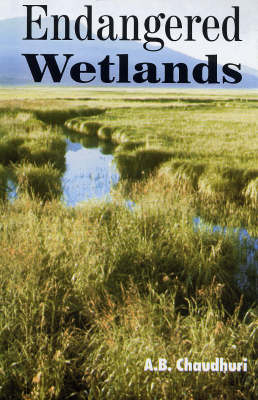 Book cover for Endangered Wetlands