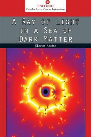 Cover of A Ray of Light in a Sea of Dark Matter