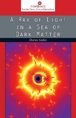 Book cover for A Ray of Light in a Sea of Dark Matter