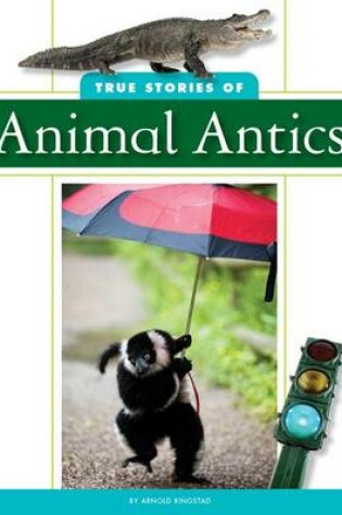 Cover of True Stories of Animal Antics