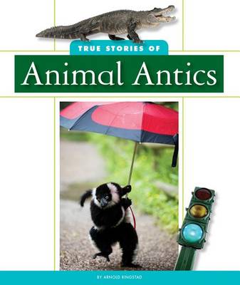 Book cover for True Stories of Animal Antics