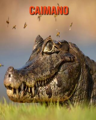 Book cover for Caimano