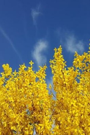 Cover of 2020 Weekly Planner Forsythia Against Pretty Sky 134 Pages