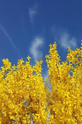 Book cover for 2020 Weekly Planner Forsythia Against Pretty Sky 134 Pages