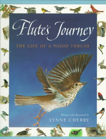 Book cover for Flute's Journey