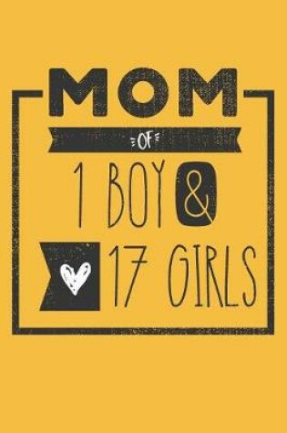 Cover of MOM of 1 BOY & 17 GIRLS