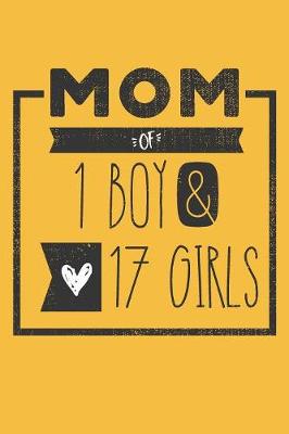 Book cover for MOM of 1 BOY & 17 GIRLS