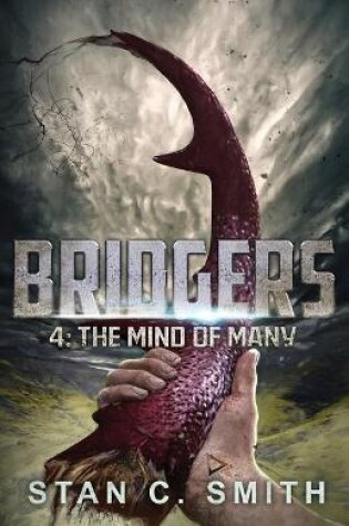 Cover of Bridgers 4