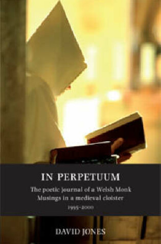 Cover of In Perpetuum
