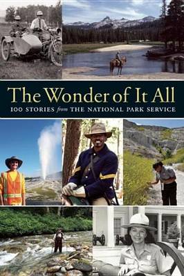 Book cover for The Wonder of It All