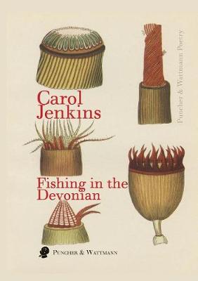 Book cover for Fishing in the Devonian