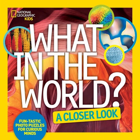 Book cover for What in the World? A Closer Look