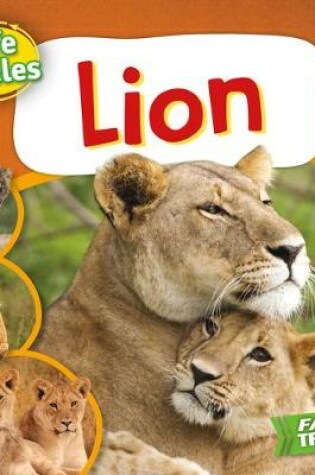 Cover of Lion