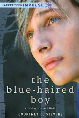 Book cover for The Blue-Haired Boy