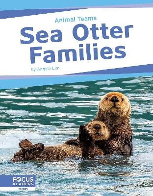 Book cover for Animal Teams: Sea Otter Families