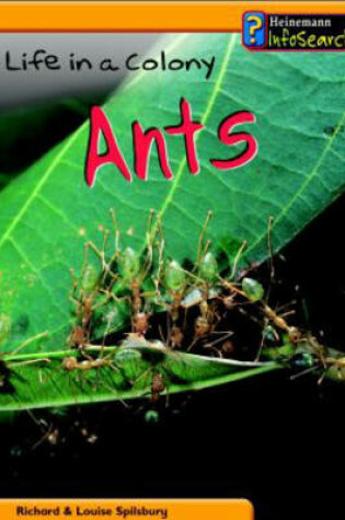 Cover of Animal Groups: Life in a Colony of Ants Paperback