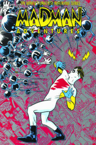 Cover of Madman Volume 2
