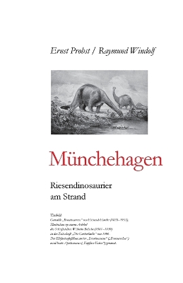 Book cover for Münchehagen