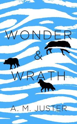 Book cover for Wonder and Wrath