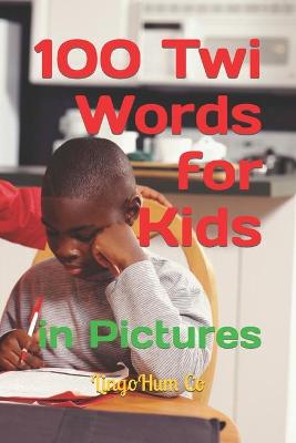 Book cover for 100 Twi Words for Kids