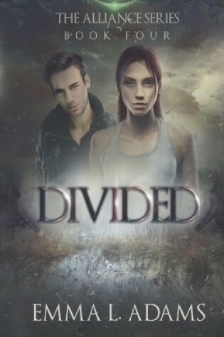 Cover of Divided