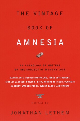 Cover of The Vintage Book of Amnesia