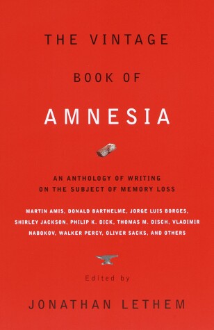 Book cover for The Vintage Book of Amnesia