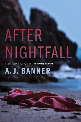 Book cover for After Nightfall