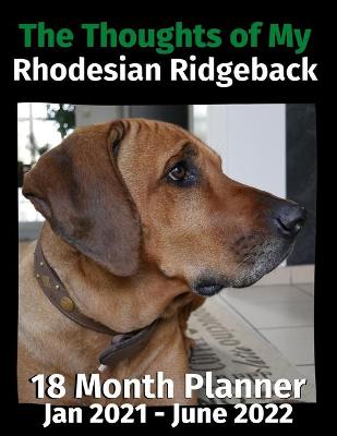 Book cover for The Thoughts of My Rhodesian Ridgeback
