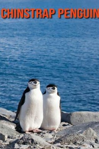 Cover of Chinstrap Penguin