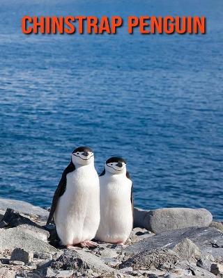 Book cover for Chinstrap Penguin