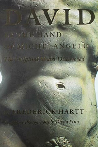 Cover of David by the Hand of Michelang