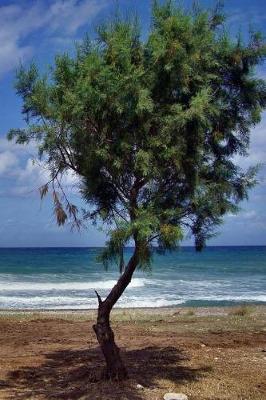 Book cover for Peloponnese Notebook