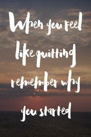 Cover of When You Feel Like Quitting Remember Why You Started