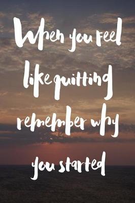 Book cover for When You Feel Like Quitting Remember Why You Started