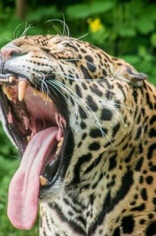 Cover of Huge Jaguar Yawning Journal