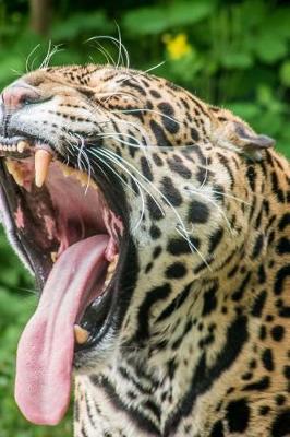 Book cover for Huge Jaguar Yawning Journal