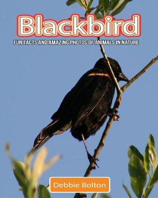 Book cover for Blackbird